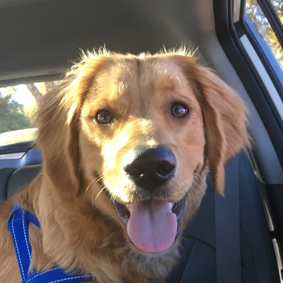 Meet your Posher, Jen - Picture 1 of 1